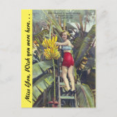 Florida, "The Sunshine City" Briefkaart (Voorkant)