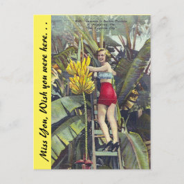 Florida, "The Sunshine City" Briefkaart