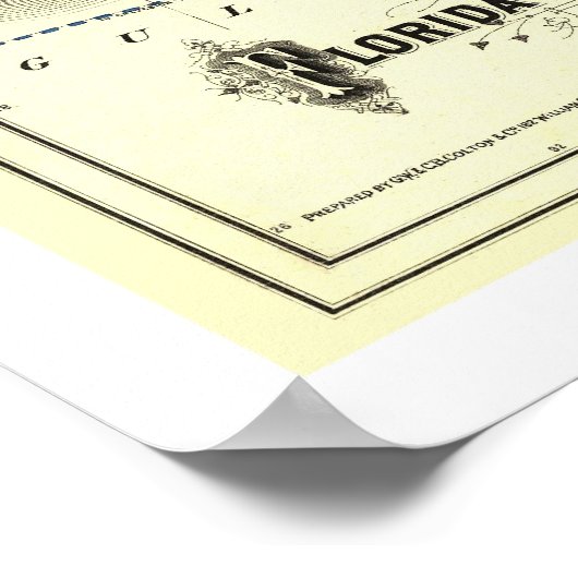 Florida Transit Railroad Map 1882 Poster (Hoek)