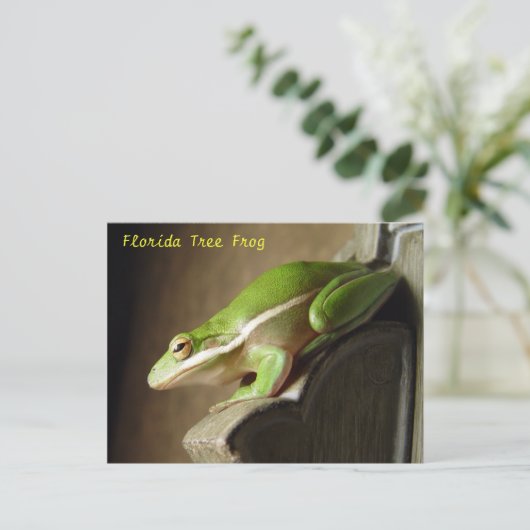 Florida Tree Frog Briefkaart (Staand voorkant)