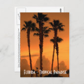 Florida Tropical Paradise Sunset Briefkaart Foto (Voorkant / Achterkant)