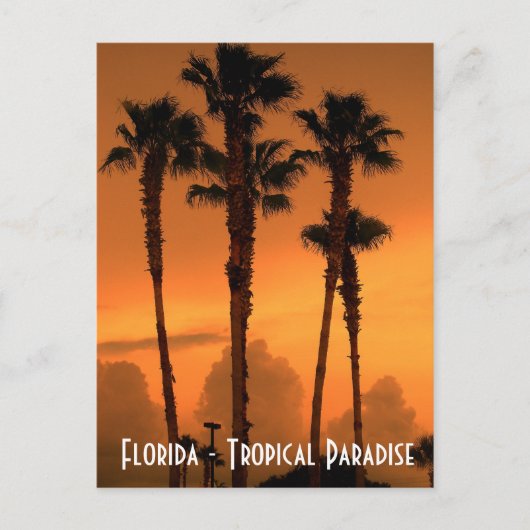 Florida Tropical Paradise Sunset Briefkaart Foto (Voorkant)