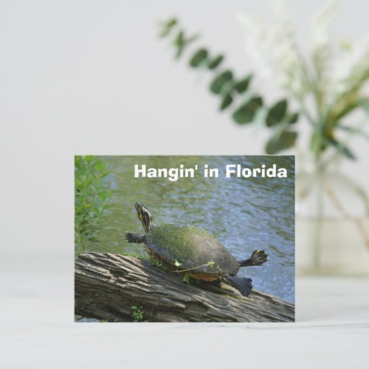 Florida Turtle briefkaart (Staand voorkant)