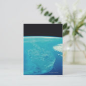 Florida uit Space Briefkaart (Staand voorkant)