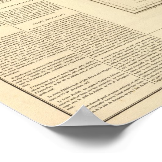 Florida US Poster (Hoek)