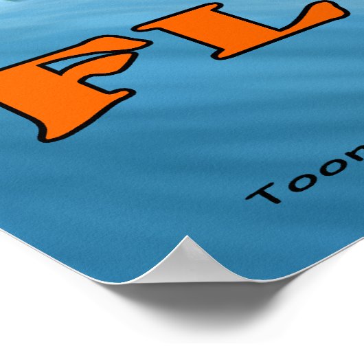 Florida USA Map Poster (Hoek)