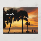 Florida Vacation Briefkaart (Voorkant)
