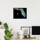 Florida vanuit de ruimte satellietposter poster (Thuiskantoor)