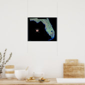 Florida vanuit de ruimte satellietposter poster (Keuken)