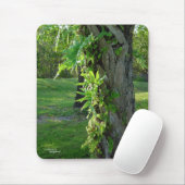 Florida varens Mousepad Muismat (Met muis)