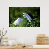 Florida, Venetië, Audubon Sanctuary, Common Egret Poster (Keuken)