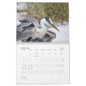 Florida, Verenigde Staten, kalender 2011 (Feb 2027)