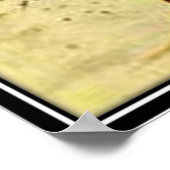  Florida, Verenigde Staten - Poster (Hoek)