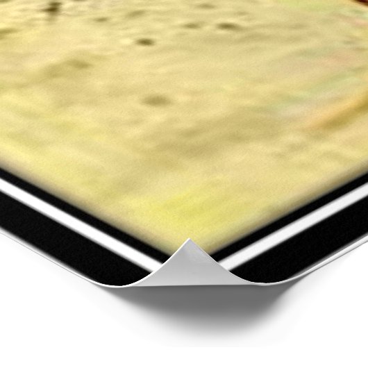  Florida, Verenigde Staten - Poster (Hoek)