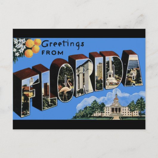 Florida Vintage Travel Briefkaart (Voorkant)