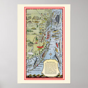 Florida Vis 12x18 Poster Afdruk