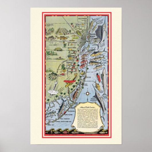 Florida Vis 12x18 Poster Afdruk (Voorkant)