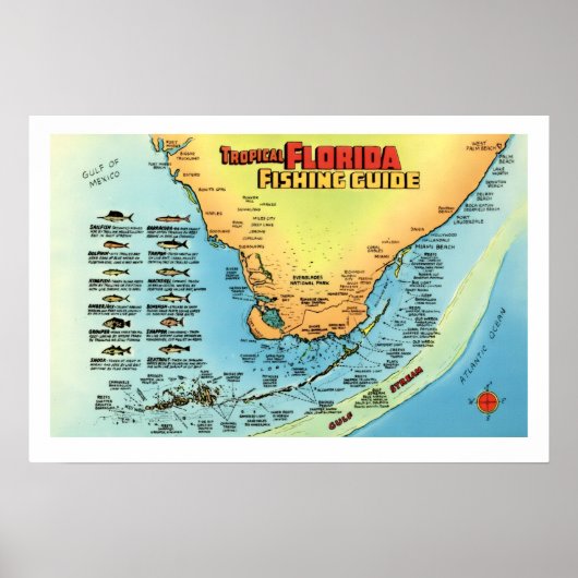 Florida Visgids 16x24 Poster Print (Voorkant)