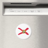 Florida Vlag Magneet (Insitu (Vaatwasser))