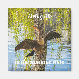 Florida vogels 2 Inch Square Magnet