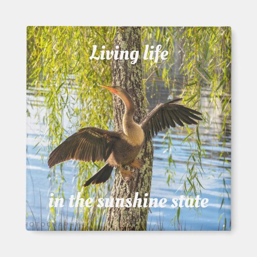 Florida vogels 2 Inch Square Magnet (Voorkant)