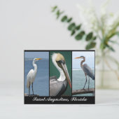 Florida vogels briefkaart (Staand voorkant)