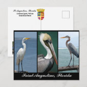 Florida vogels briefkaart (Voorkant / Achterkant)