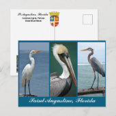 Florida vogels briefkaart (Voorkant / Achterkant)