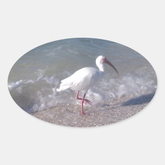 Florida vogels ovale sticker (Voorkant)