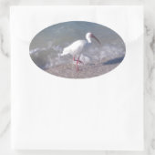 Florida vogels ovale sticker (Tas)