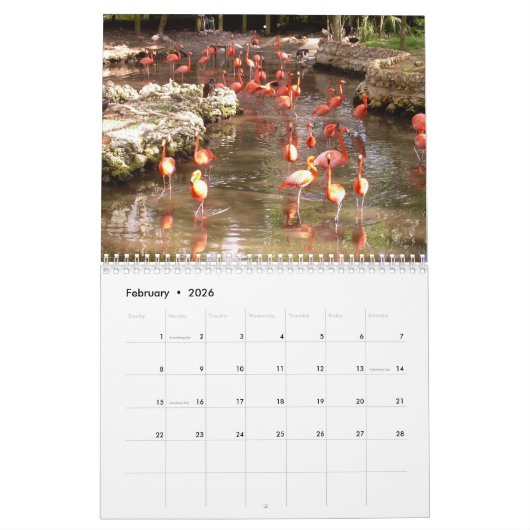 Florida Wall Calendar Kalender (Feb 2026)