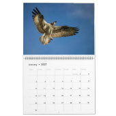 Florida Water Birds Calendar 2023-2024 Kalender (Jan 2027)