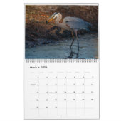 Florida Water Birds Calendar 2023-2024 Kalender (Mar 2026)