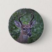 Florida Whitetailed Buck Ronde Button 5,7 Cm (Voorkant)