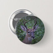 Florida Whitetailed Buck Ronde Button 5,7 Cm (Voorkant /achterkant)