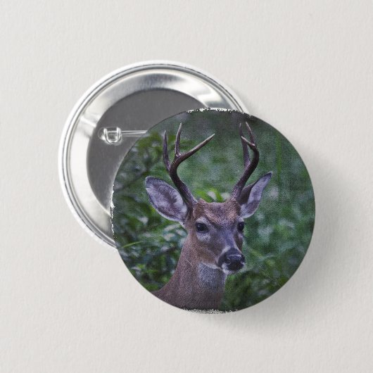 Florida Whitetailed Buck Ronde Button 5,7 Cm (Voorkant /achterkant)