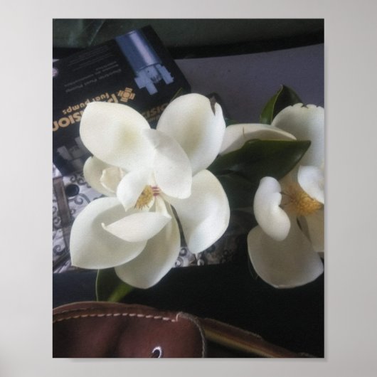 Florida-wildbloemenposter Poster (Voorkant)