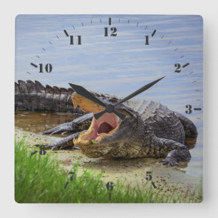 Florida wilde alligator met open mond vierkante klok