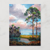 Florida Wilderness Briefkaart (Voorkant)