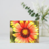 Florida Wildflower Briefkaart (Staand voorkant)