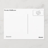 Florida Wildflower Briefkaart (Achterkant)