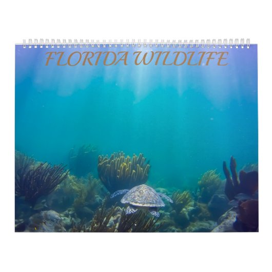 Florida Wildlife Agenda 2020 Kalender (Hoes)