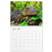 Florida Wildlife Agenda 2020 Kalender (Mar 2027)
