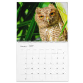 Florida Wildlife Agenda 2020 Kalender (Jan 2027)