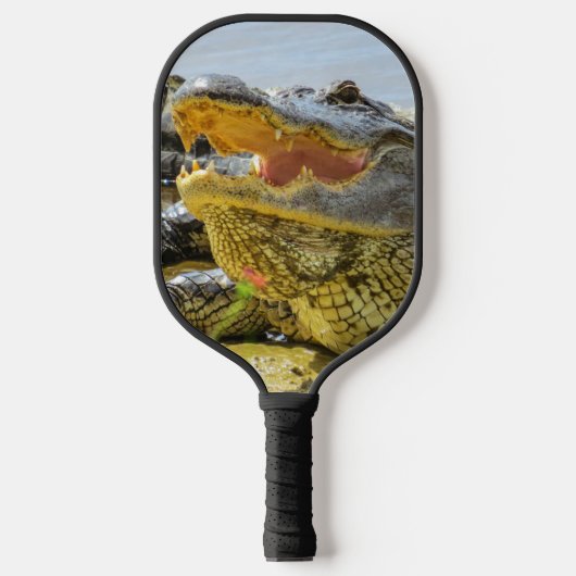 Florida wildlife American Alligator-portret Pickleball Paddle (Voorkant)
