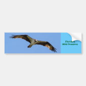 Florida Wildlife Bumpersticker (Voorkant)
