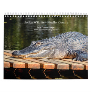 Florida Wildlife in Pinellas County 2025 Kalender