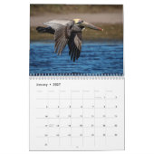 Florida Wildlife in Pinellas County 2026 Kalender (Jan 2027)