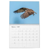 Florida Wildlife in Pinellas County 2026 Kalender (Feb 2027)