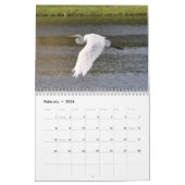 Florida Wildlife Kalender (Feb 2026)